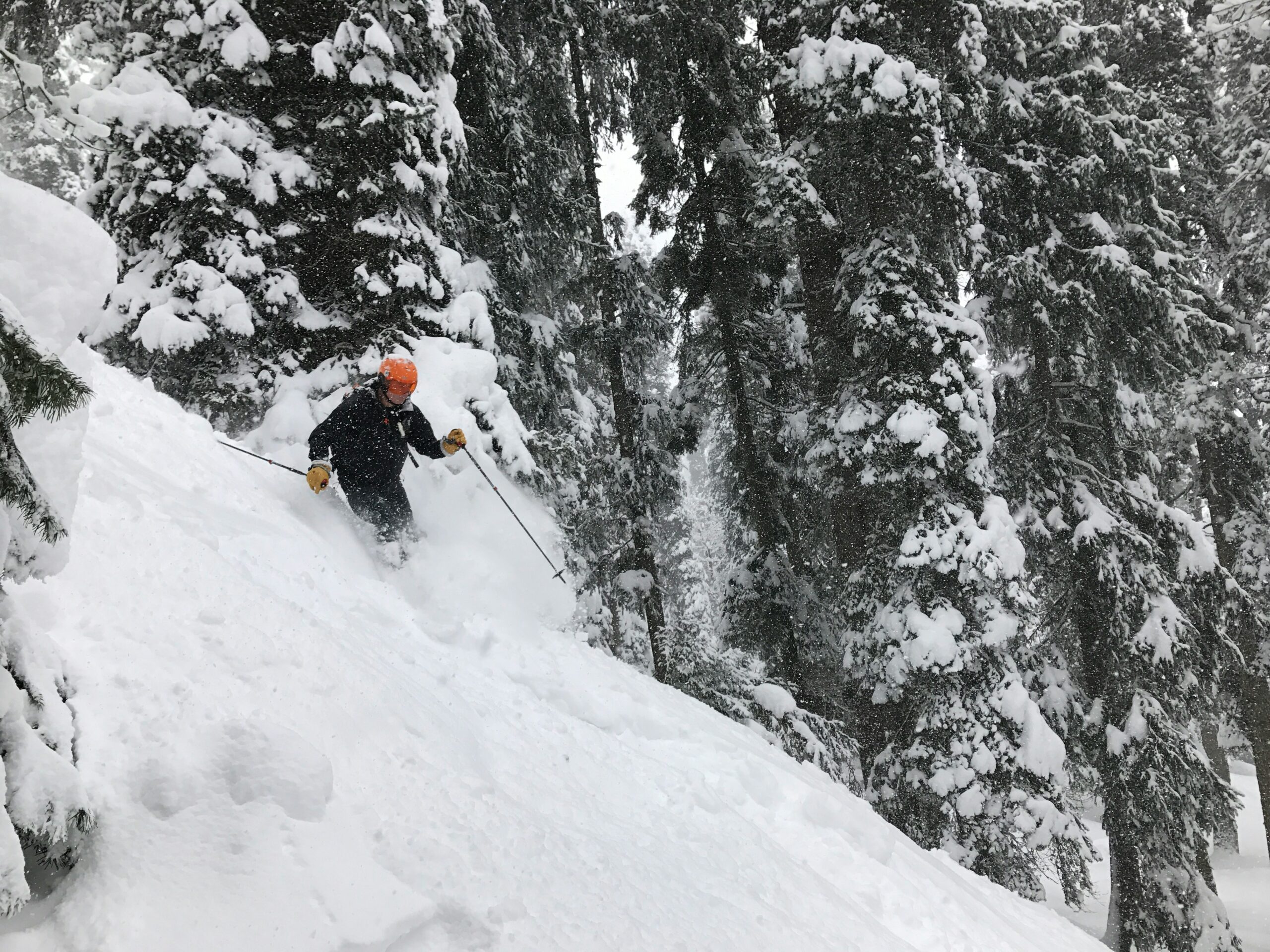 Skiing in Gulmarg in February
