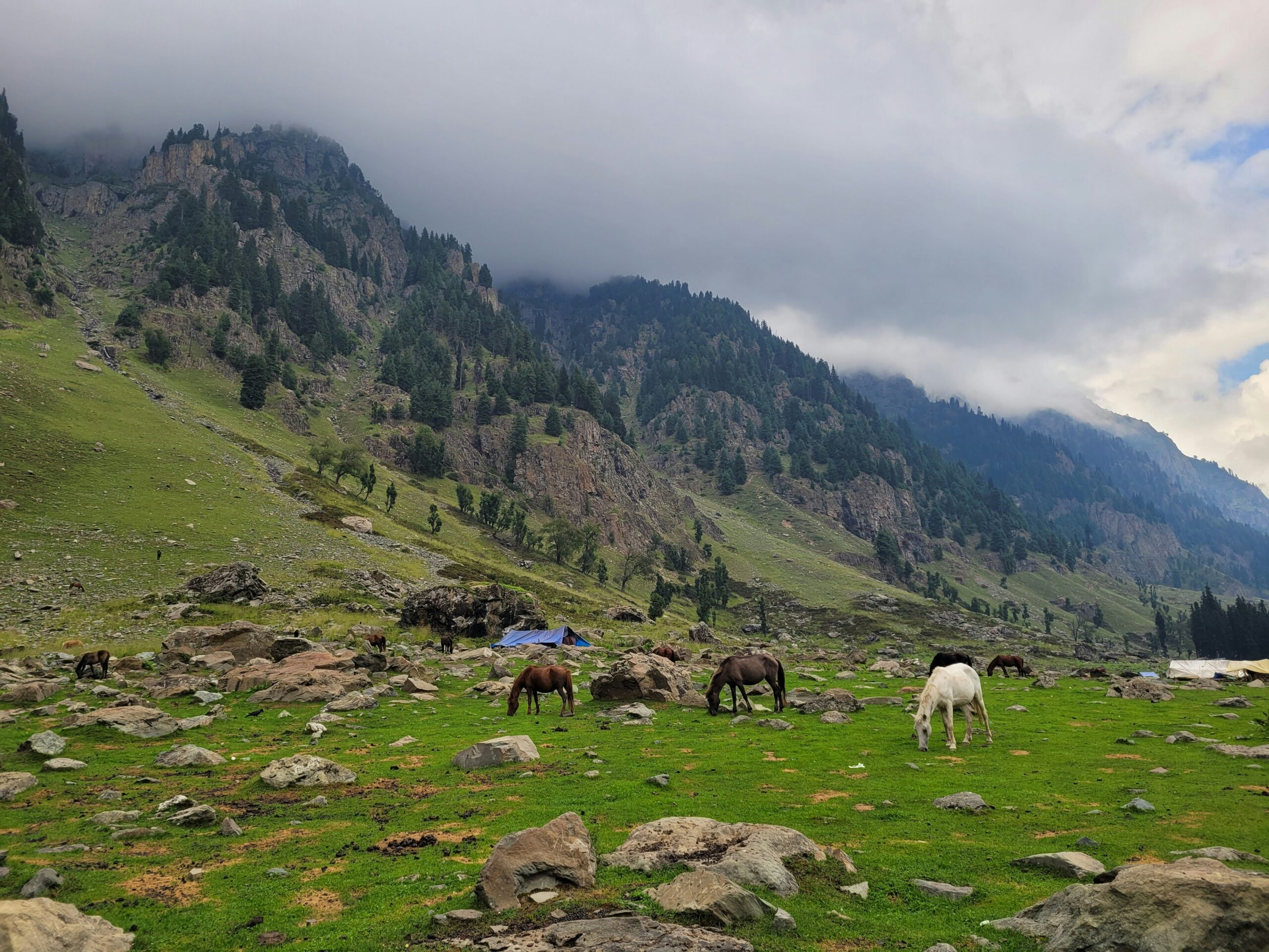 Pony Ride in Gulmarg