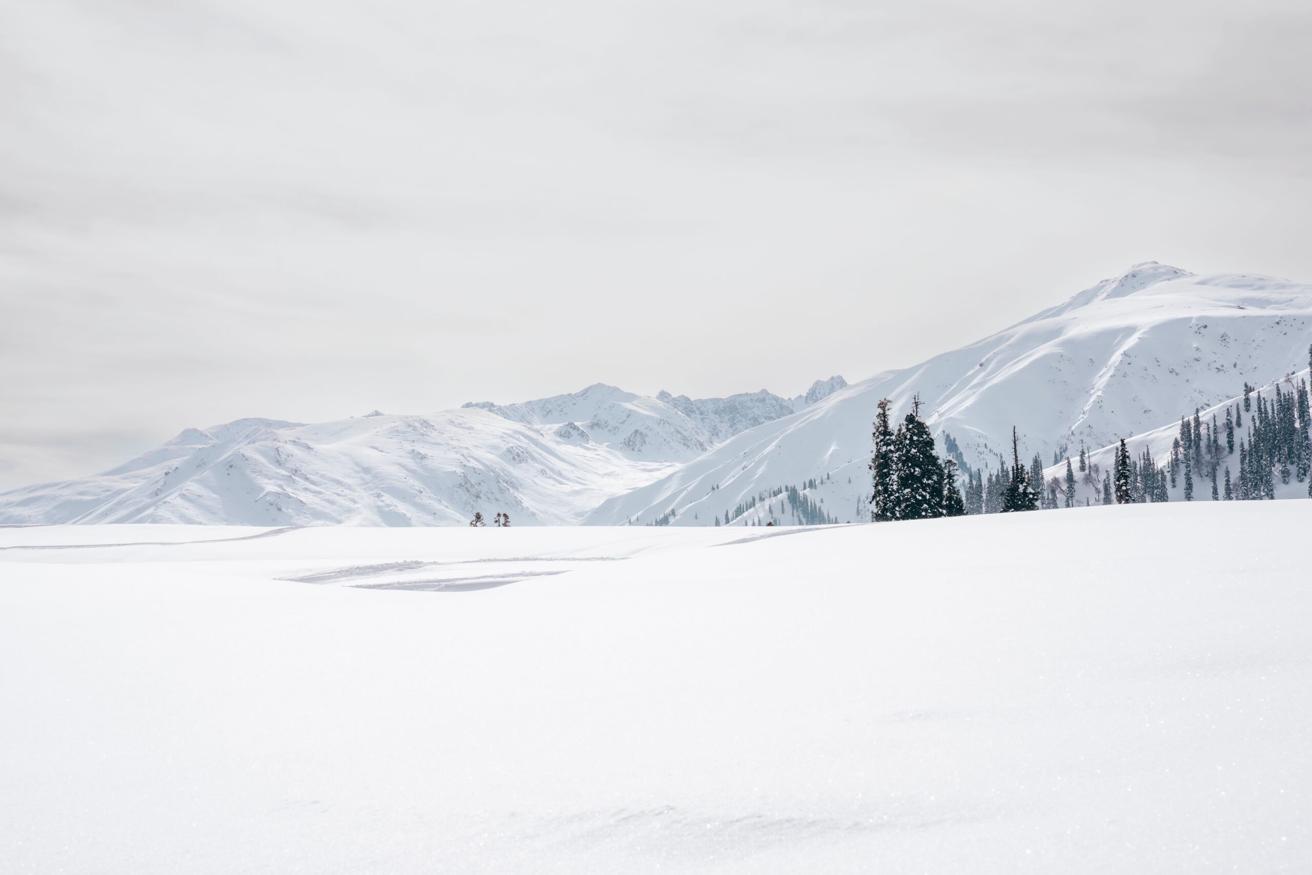 Agra to Gulmarg Distance