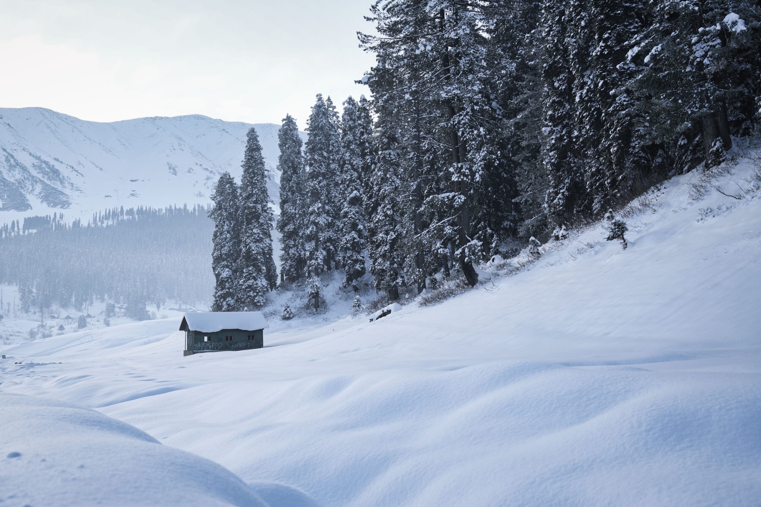 Pathankot to Gulmarg Distance