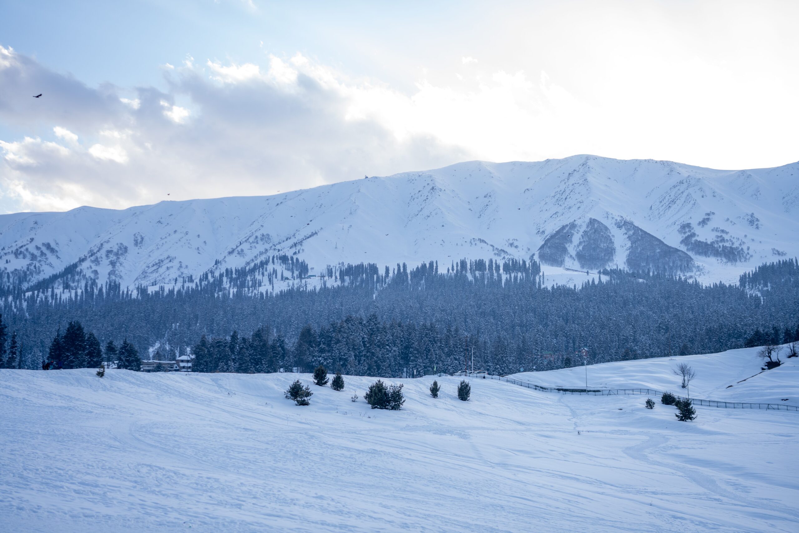 Gulmarg to Manali Distance