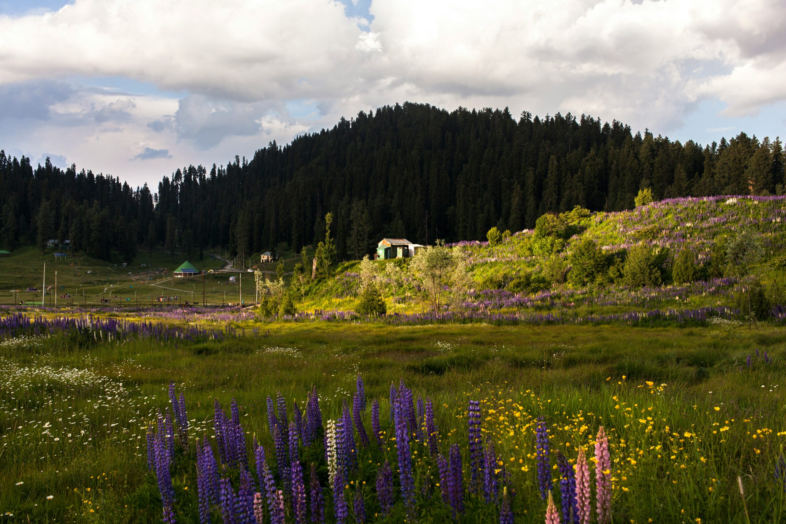 sunset view gulmarg