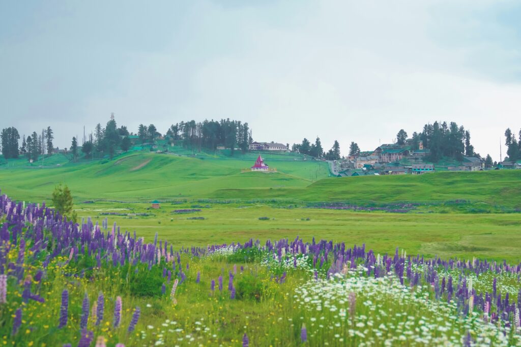 bota pathri gulmarg