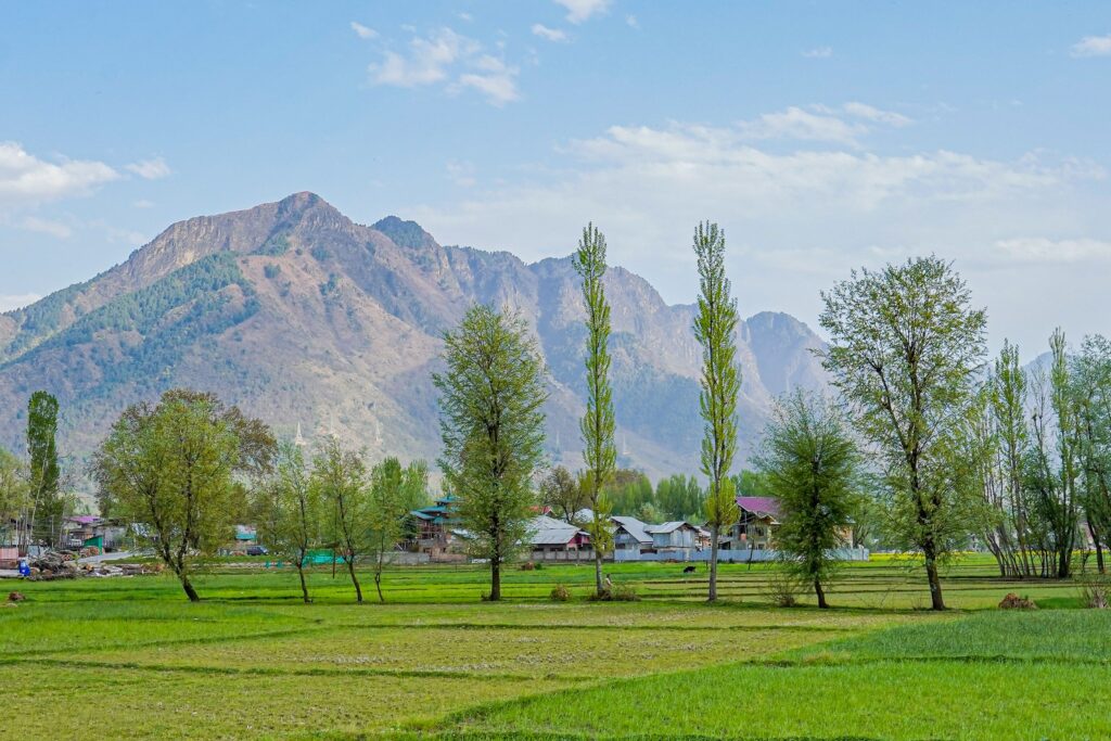 Budgam to Gulmarg Distance