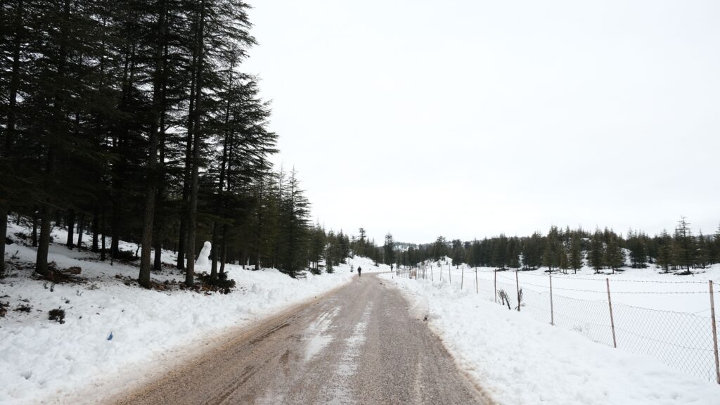 Patnitop to Gulmarg Distance