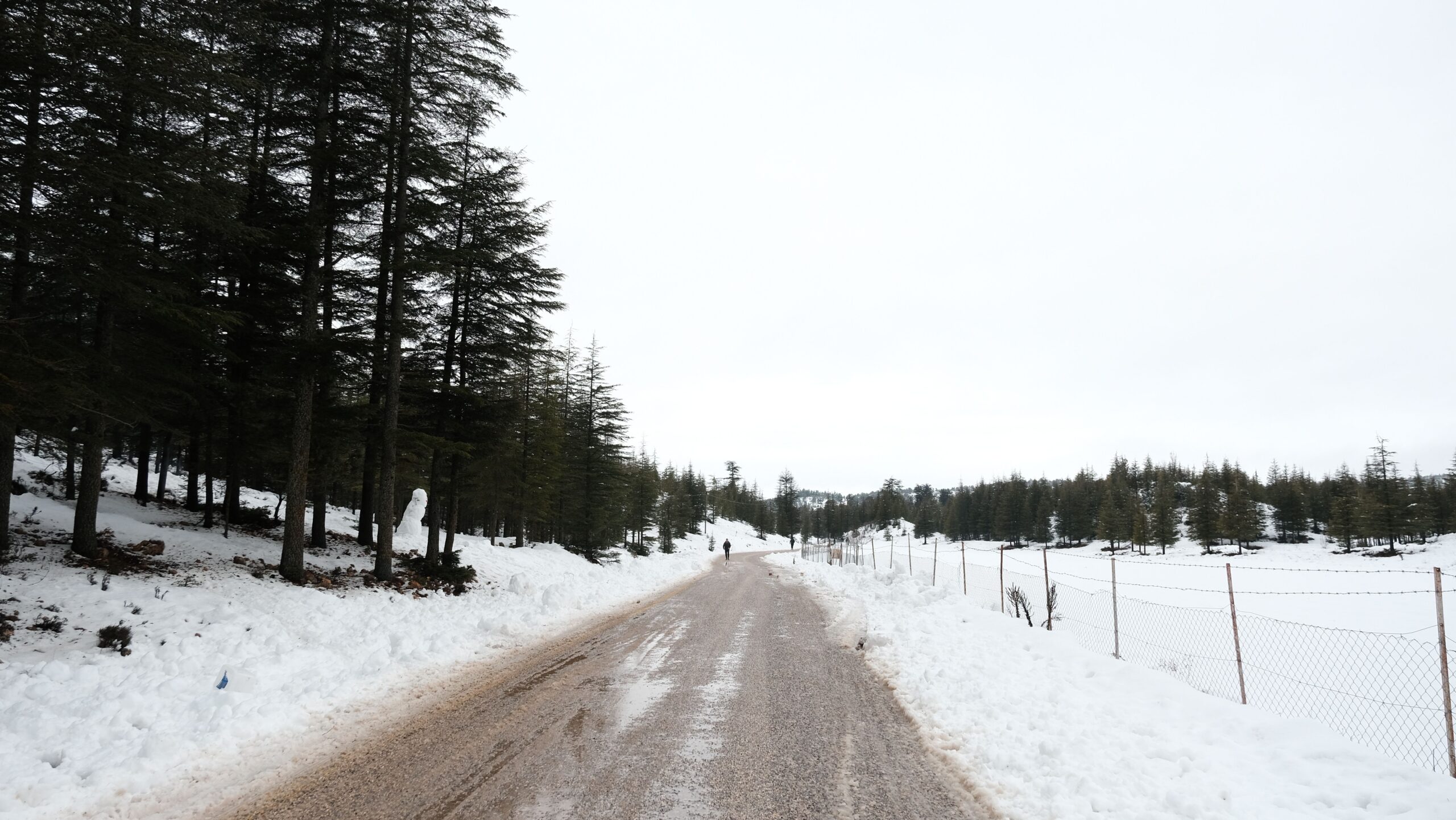 Patnitop to Gulmarg Distance