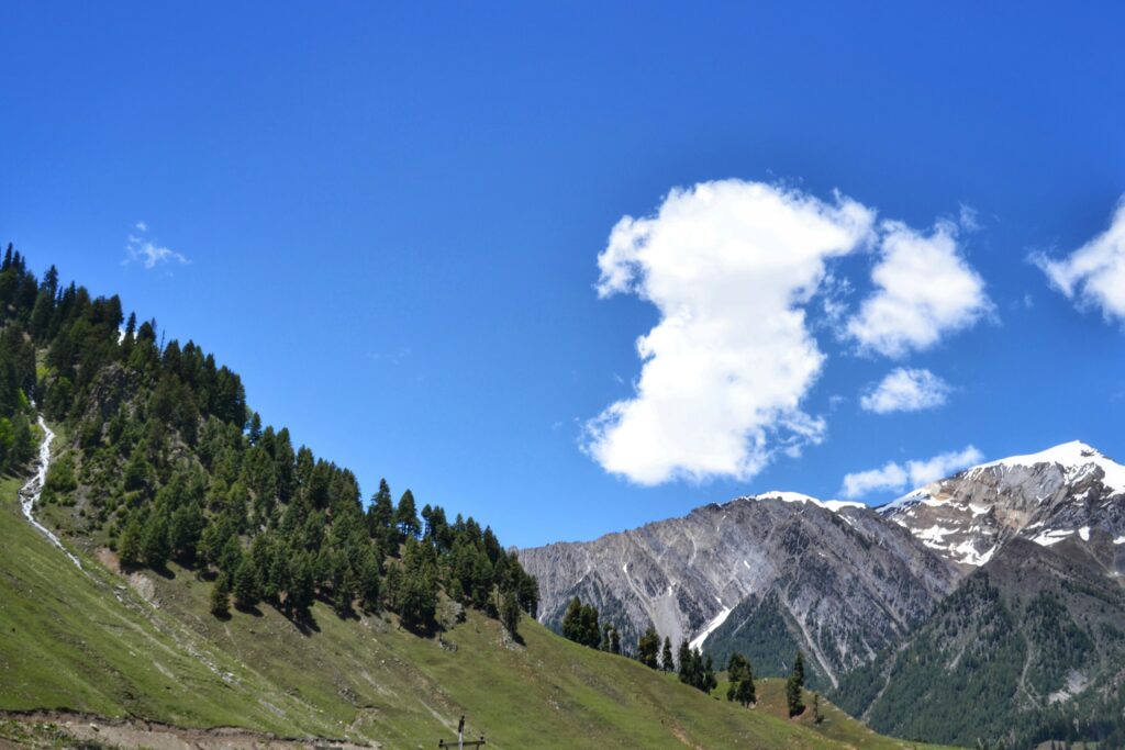 paragliding in gulmarg
