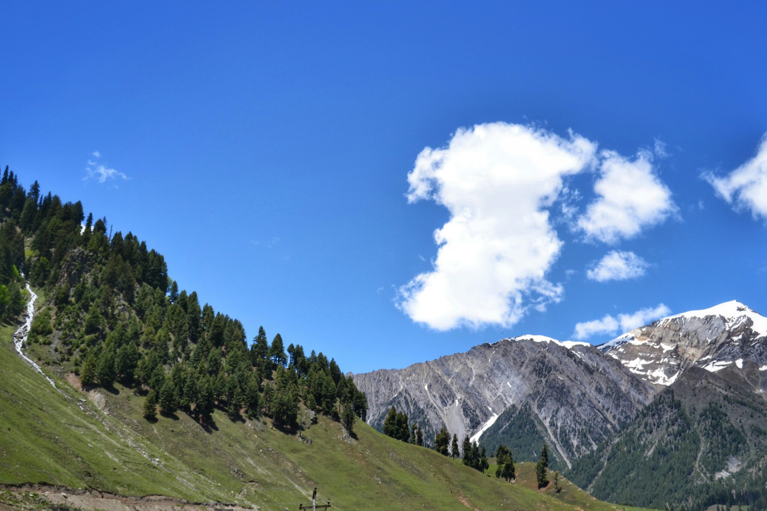 paragliding in gulmarg