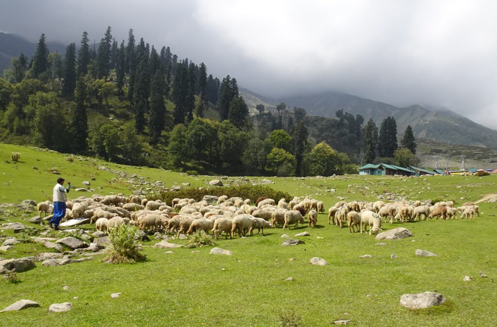 khilanmarg gulmarg
