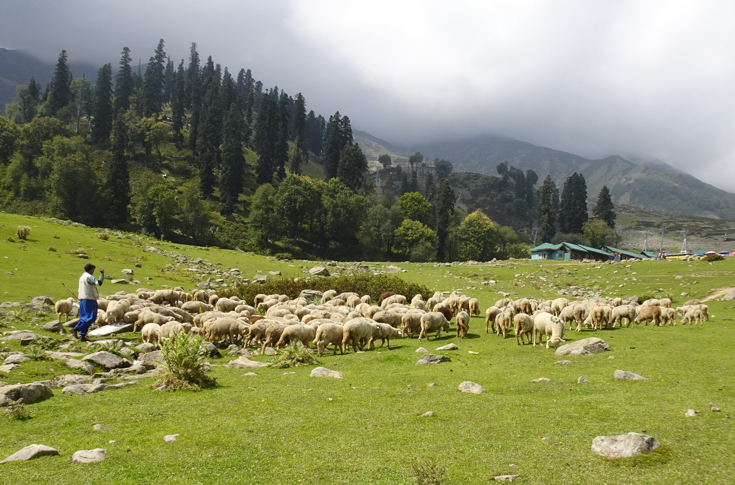 khilanmarg gulmarg