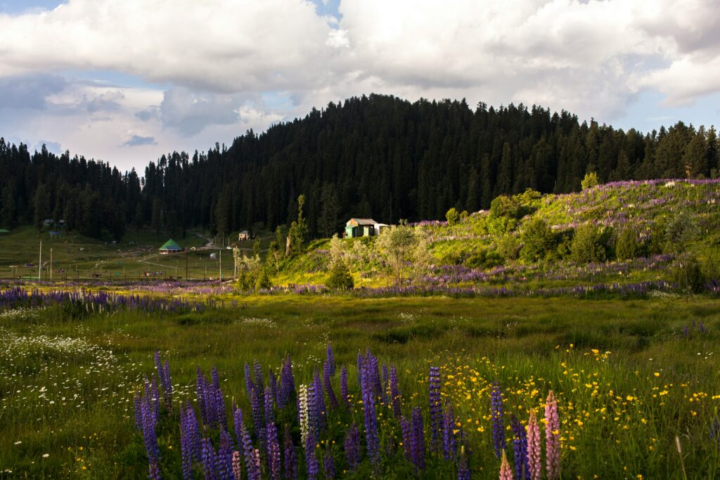 sunset view gulmarg